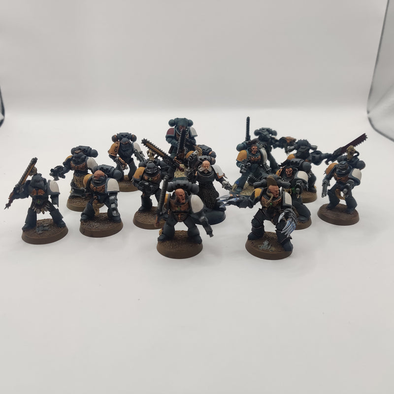 Horus Heresy Space Wolves Assault Squad x15 Marines AO031