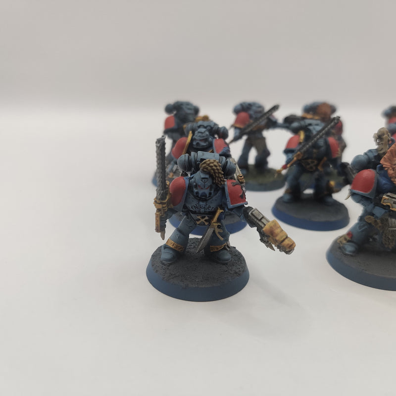 Warhammer 40k Space Wolves Blood Claws - Painted AW206