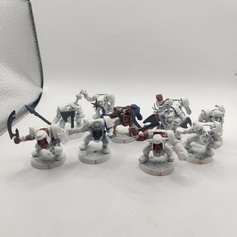 Warhammer Orc Boyz x11 AI053