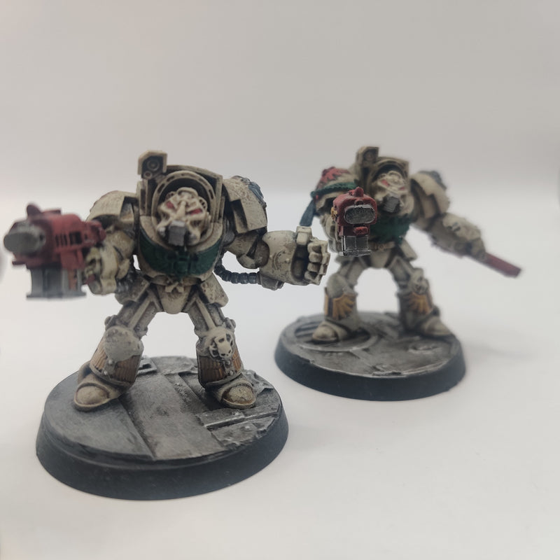 Warhammer 40k Dark Angels Deathwing Terminators - Painted AA091