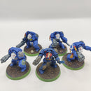 Warhammer 40k Space Marine Terminator Squad - Painted AH079