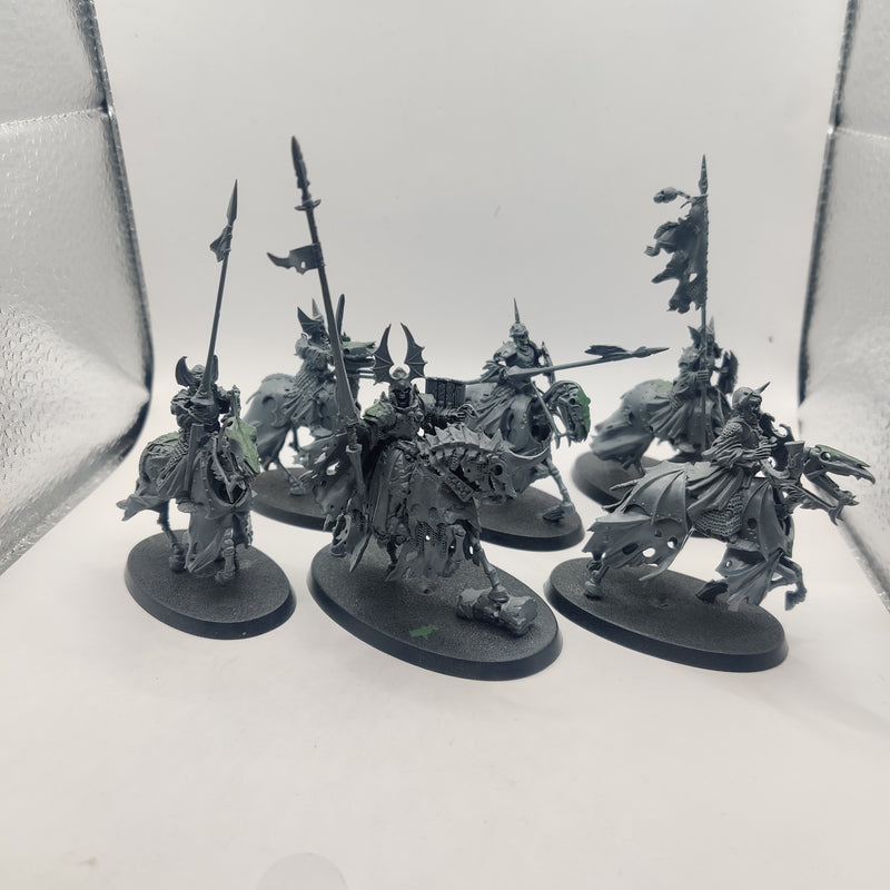 Age of Sigmar Soulblight Gravelords Wight King and Black Knights x5 AD001