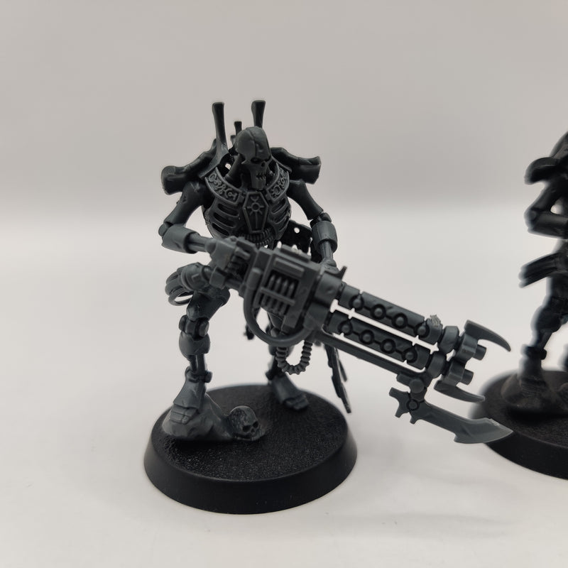 Warhammer 40k Necrons Royal Wardens x2 AA066