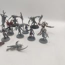 Age of Sigmar Hedonites of Slaanesh Slaangor Fiendbloods and Daemonettes AE001-0411