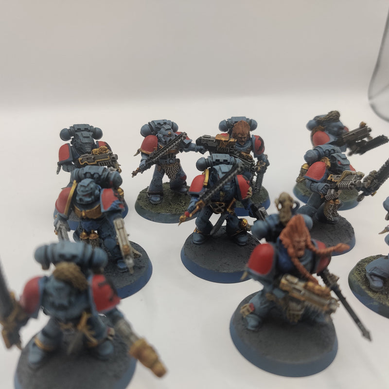 Warhammer 40k Space Wolves Blood Claws - Painted AW206