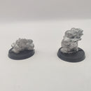 Blood Bowl Barik Farblast Dwarf Star Player and Casualty BC116