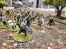Well Painted Saga Viking Army  (BE006)
