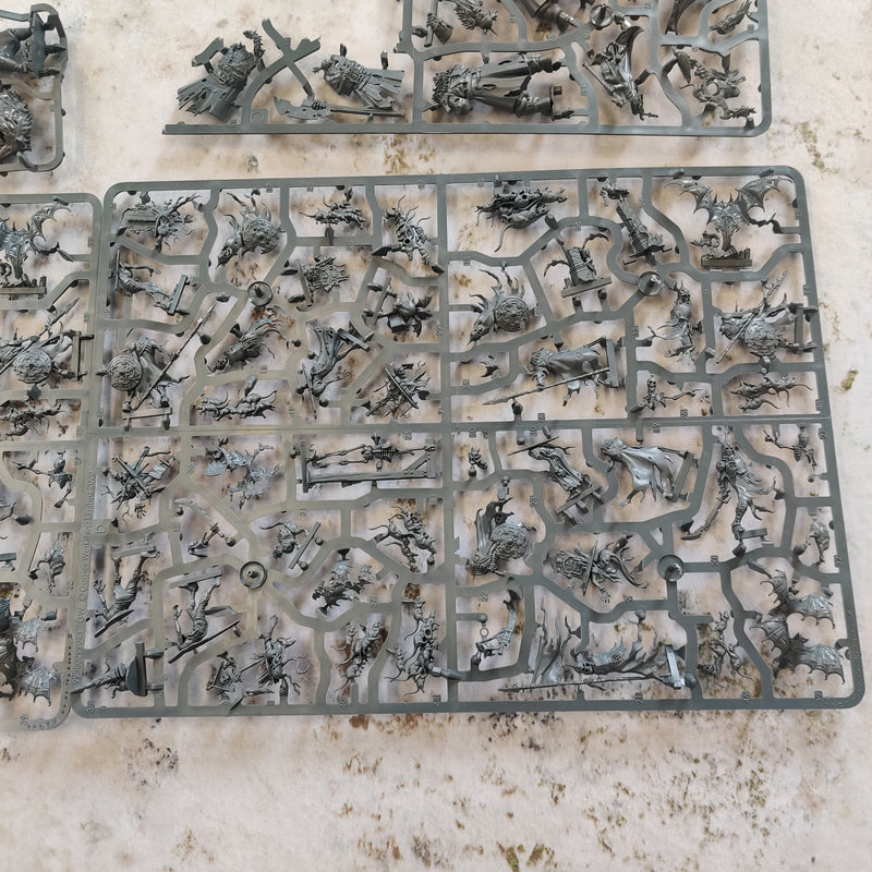 Warhammer Quest Cursed City - Missing Vrykos and Vargskyr AV017