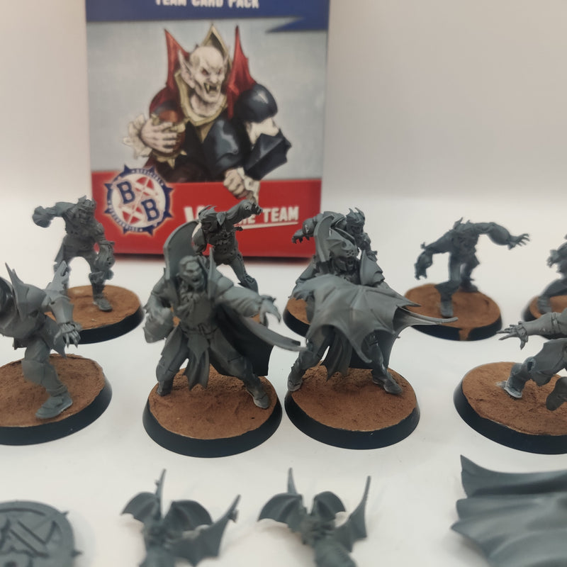 Blood Bowl Vampire Team with Cards AE024