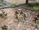 Wargames Foundry Ancient Greeks Spartan Army Beautifully Painted   (BE008)