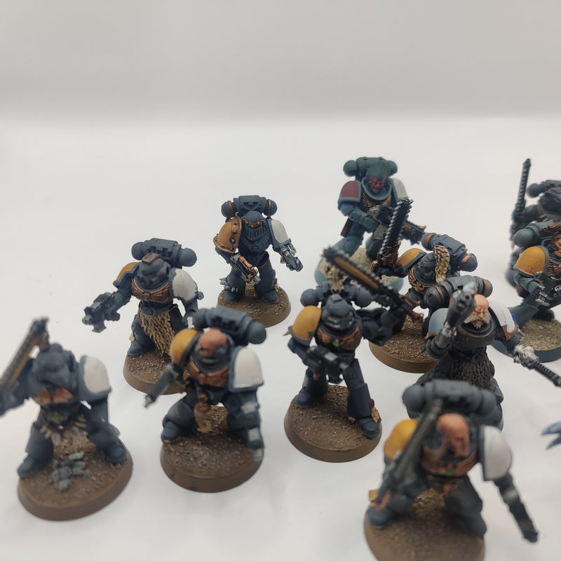 Horus Heresy Space Wolves Assault Squad x15 Marines AO031