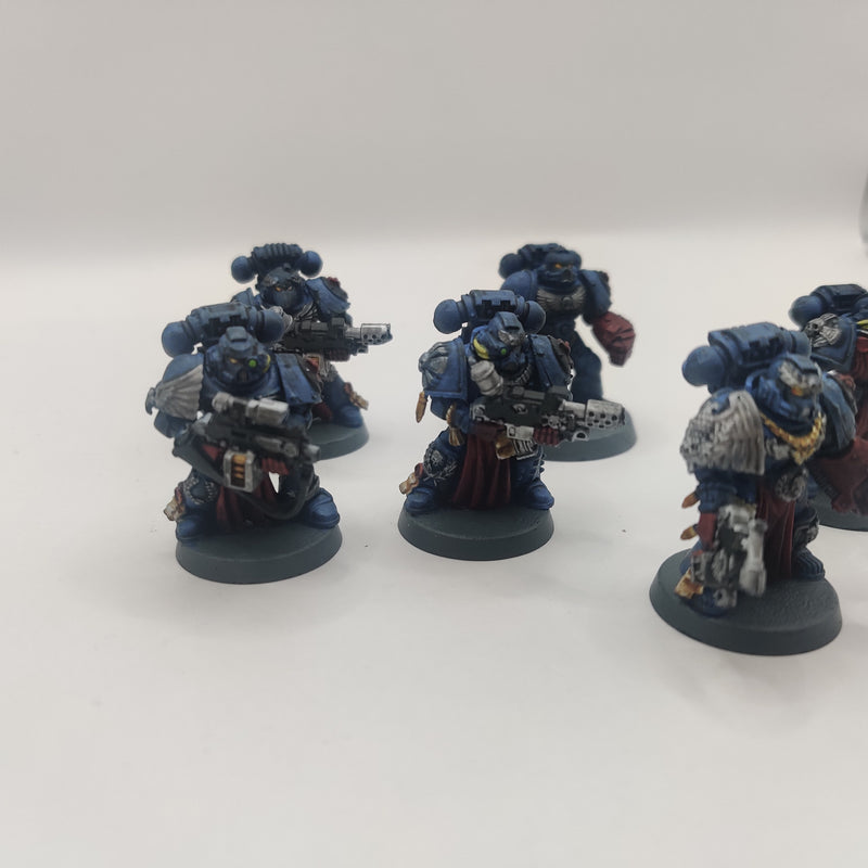 Warhammer 40k Crimson Fists Sternguard Veteran Squad - OOP Painted AD061