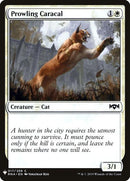 rna-17-prowlingcaracal