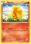 xy37-torchic