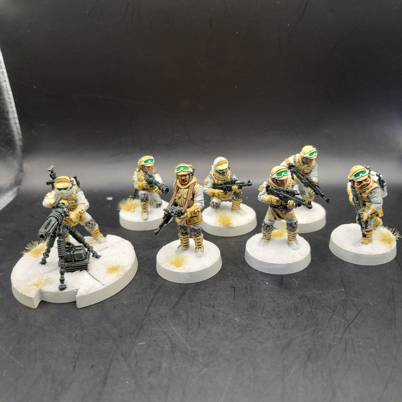 Star Wars Legion Rebel Veterans, Well Painted