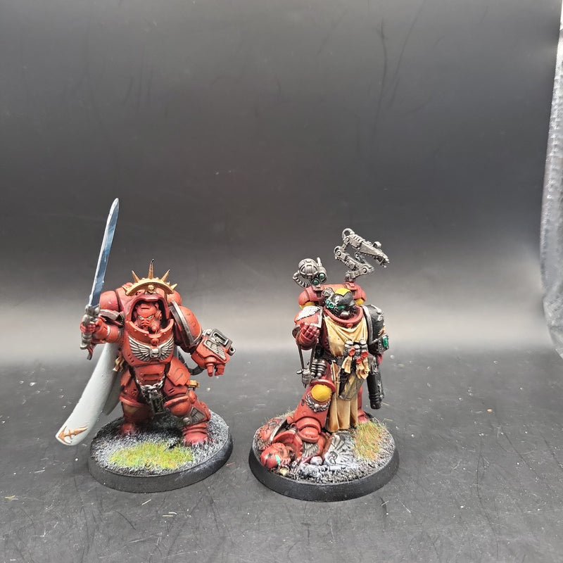 Primaris Space Marine Blood Angels Captain & Apothecary Painted