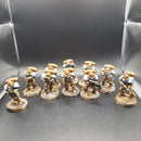 Primaris Space Marine Intercessors Squad Painted (AQ031)