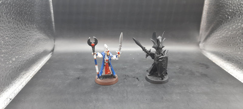 Warhammer Fantasy/AOS:High Elf Noble and Mage (AL044)