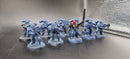 Warhammer 40k Space Marine Intercessors x10 (AF089)
