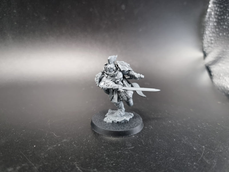 Warhammer 40k Adeptus Custodes Blade Champion (AE014)