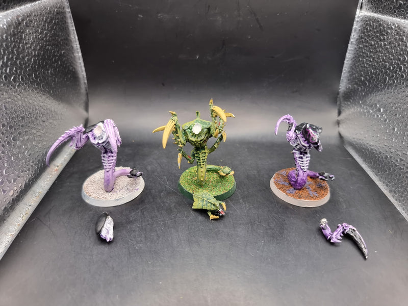 Warhammer 40k: Tyranid Metal Ravagers (AT035)