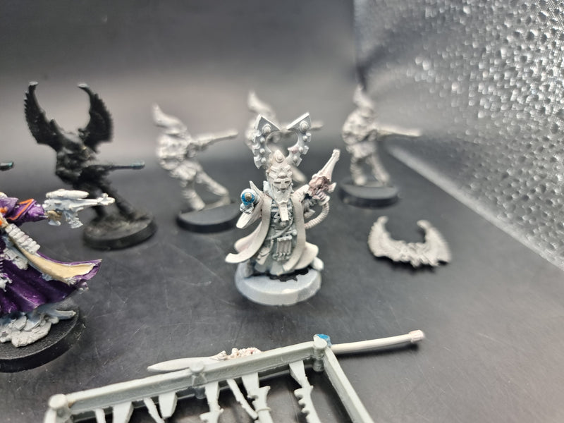 Warhammer 40k: Aeldari Metal Swooping Hawks and Farseers (AC091)