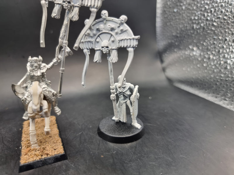 Warhammer Fantasy: Tomb Kings Standard Bearer on Foot and Mounted (AW137)