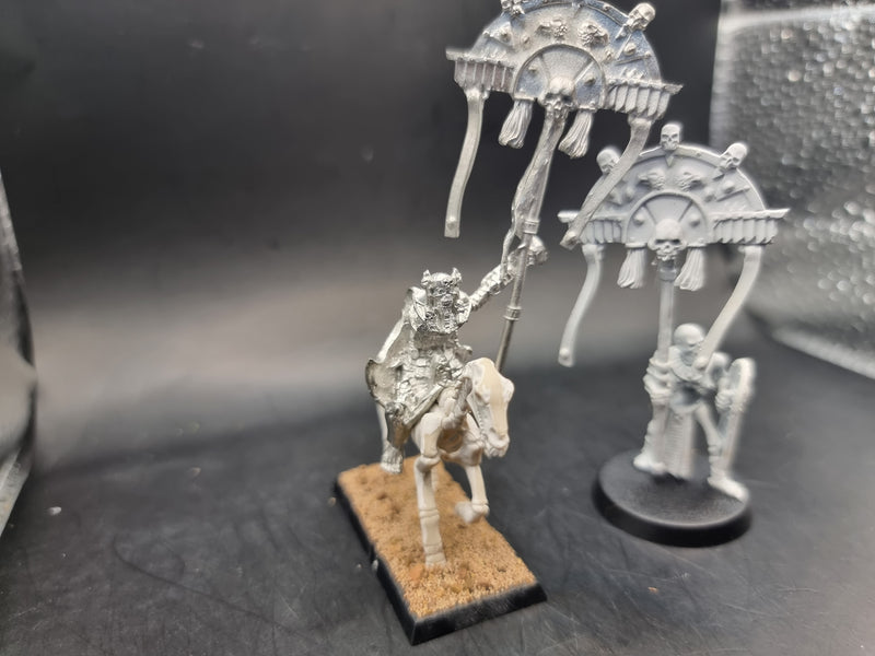 Warhammer Fantasy: Tomb Kings Standard Bearer on Foot and Mounted (AW137)