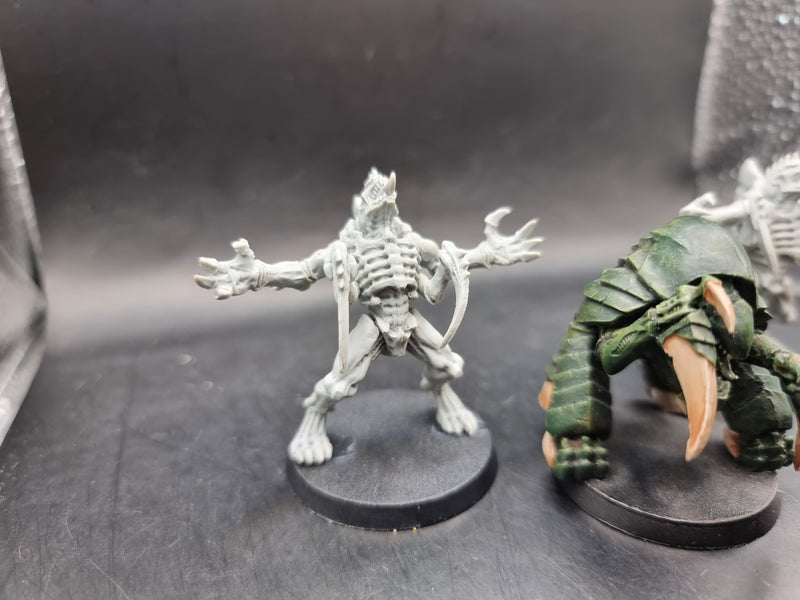 Warhammer 40k: Tyranid Broodlords and Hive Guard (AZ003)