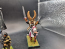 Warhammer Fantasy: Empire Metal General and Standard Bearer (AI027)