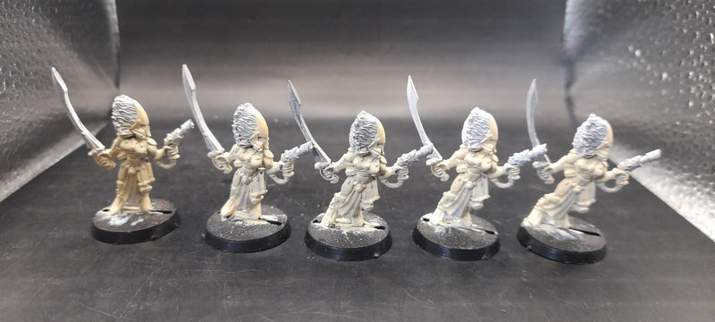 Warhammer 40k- Metal Howling Banshees  (AP004)