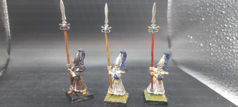 Warhammer WHFB/AOS- High Elf Standard Bearers (AW120)