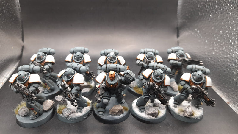 Warhammer 40K: Space Marines- Intercessor Squad (AW141)