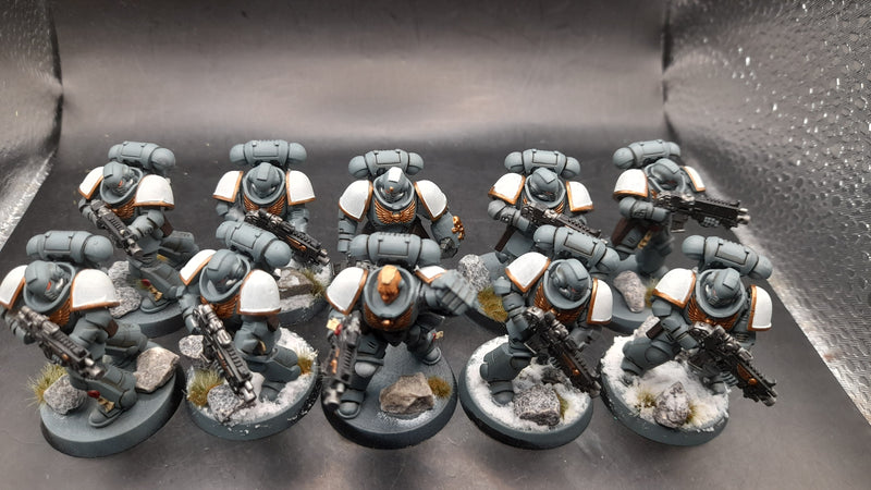 Warhammer 40K: Space Marines- Intercessor Squad (AW141)