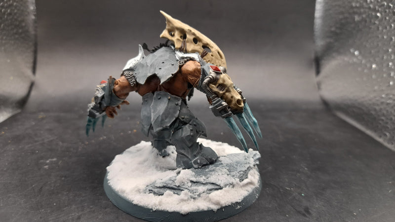 Warhammer 40K: Space Marines- Wulfen Conversion (AJ122)