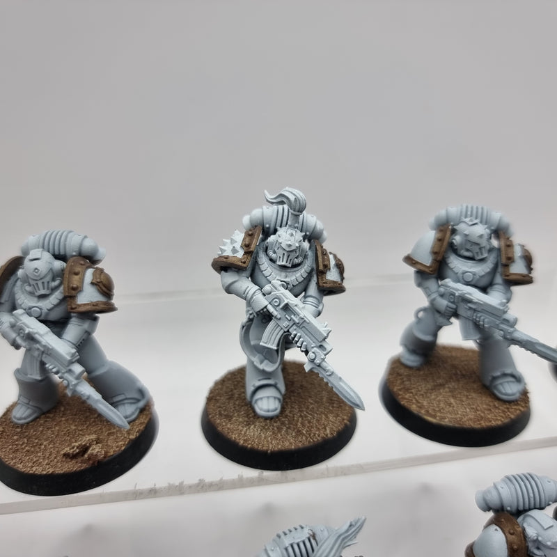 Warhammer Horus Heresy:  Legiones Astartes Luna Wolves Tactical Squad (AO023)