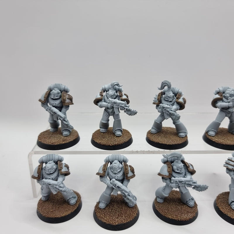 Warhammer Horus Heresy:  Legiones Astartes Luna Wolves Tactical Squad (AM009)