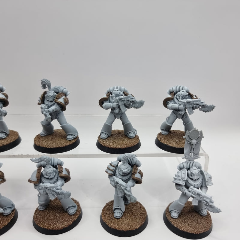 Warhammer Horus Heresy:  Legiones Astartes Luna Wolves Tactical Squad (AM009)