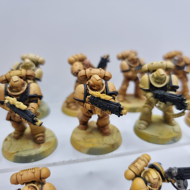 Warhammer 40k: Adeptus Astartes Intercessors (BC011)