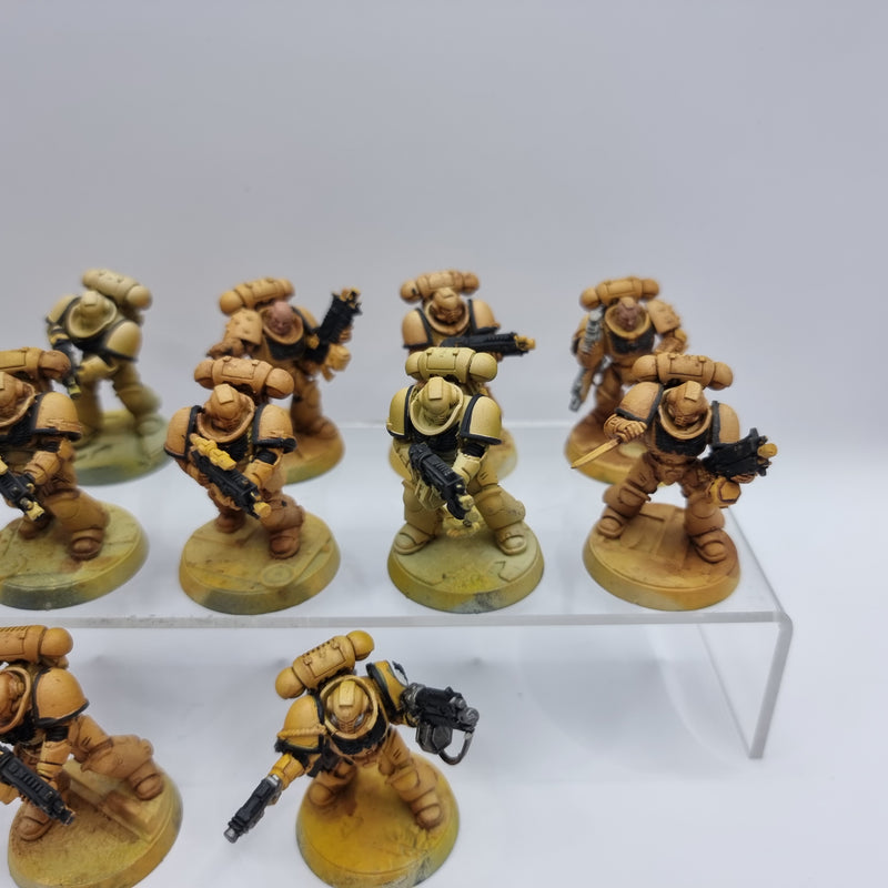 Warhammer 40k: Adeptus Astartes Intercessors (BC011)