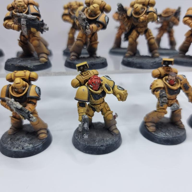 Warhammer 40k: Adeptus Astartes Intercessors (BA167)