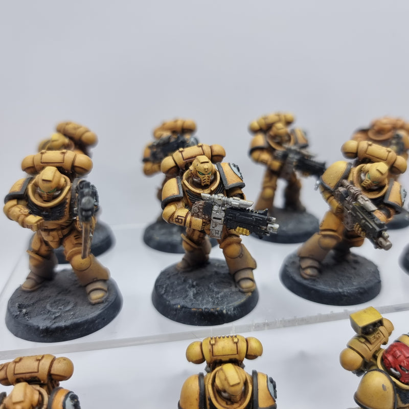 Warhammer 40k: Adeptus Astartes Intercessors (BA167)