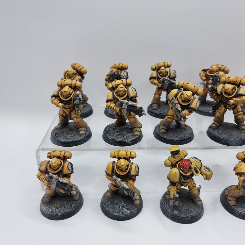 Warhammer 40k: Adeptus Astartes Intercessors (BA167)