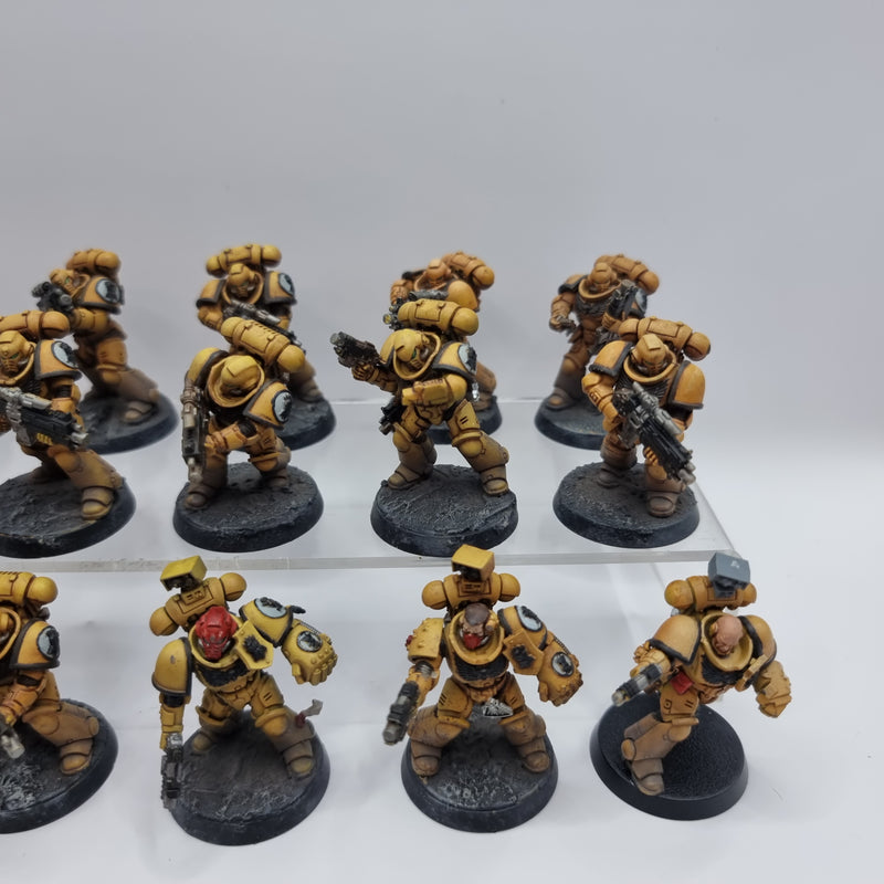 Warhammer 40k: Adeptus Astartes Intercessors (BA167)