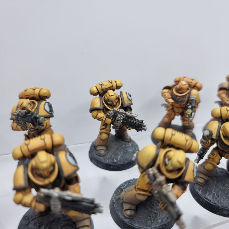 Warhammer 40k: Adeptus Astartes Intercessors (BA167)