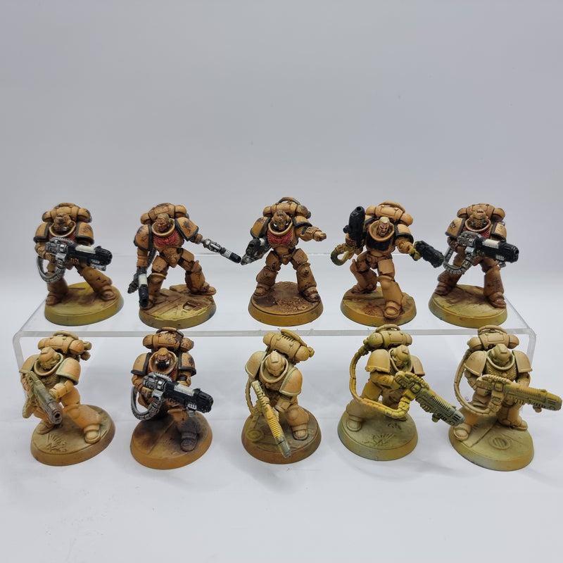 Warhammer 40k: Adeptus Astartes Hellblasters (BA033)