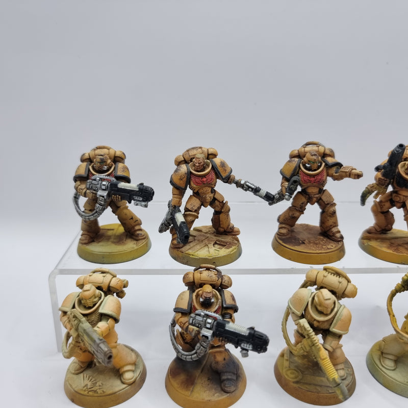 Warhammer 40k: Adeptus Astartes Hellblasters (BA033)