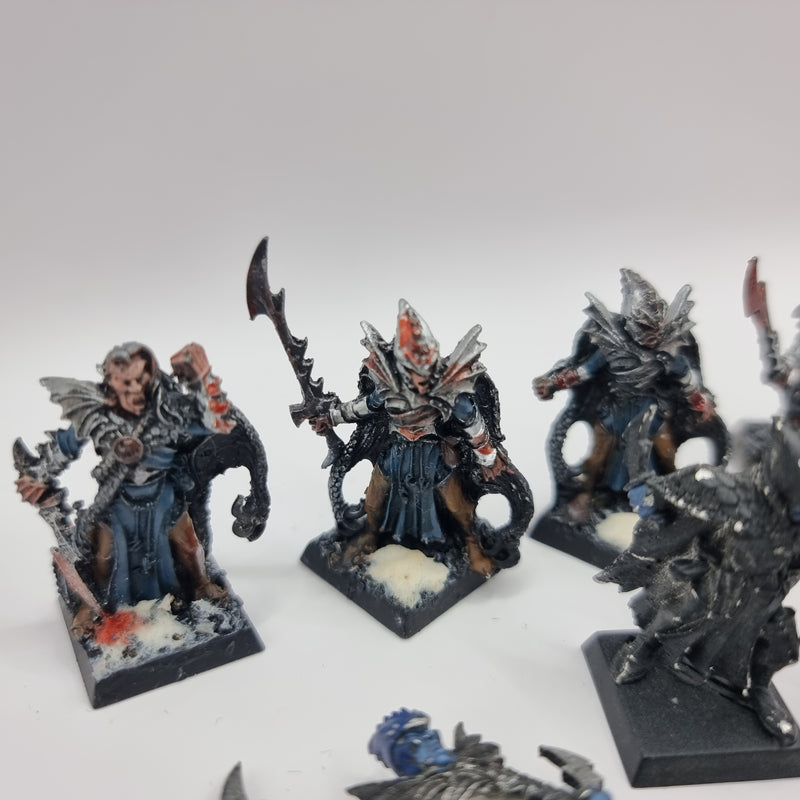 Warhammer Fantasy: Dark Elf Corsairs (AW008)