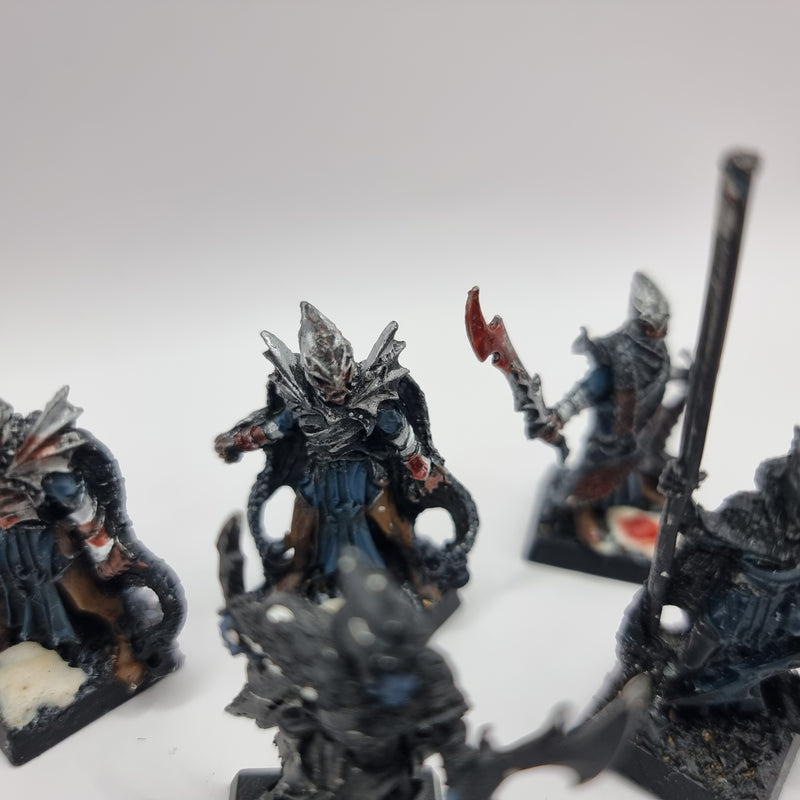 Warhammer Fantasy: Dark Elf Corsairs (AW008)