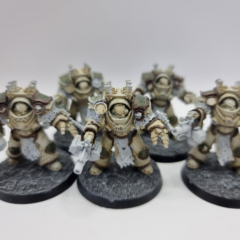 Warhammer Horus Heresy: Legiones Astartes Death Guard Grave Warden Terminators (BA094)